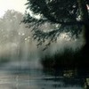 MISTY RIVER